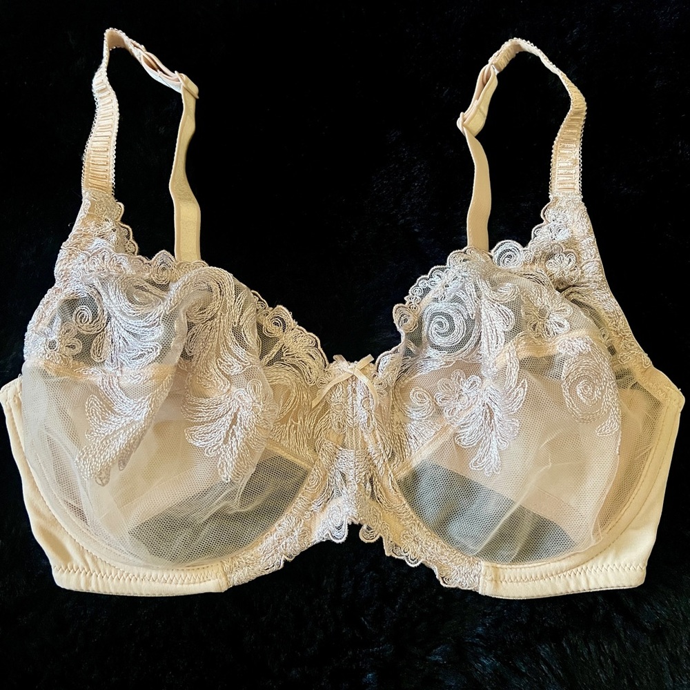 CRÈME BRALEE~Elegant Lace Embroidered Bra - Cream 34DD